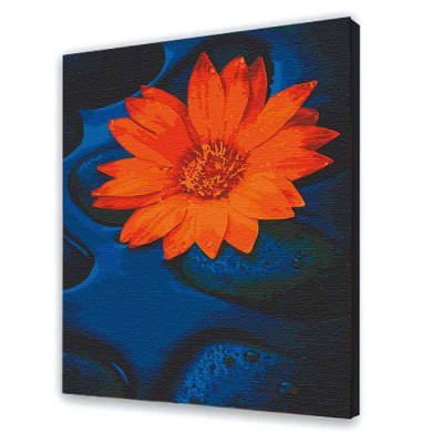 Картина за номерами з лаком ArtCraft квіти "Квітка лотоса" 40*50 см 13124-AC
