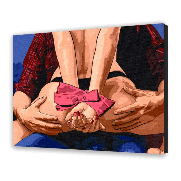 Картина за номерами "Для нього" 40*50 см 10029-AC