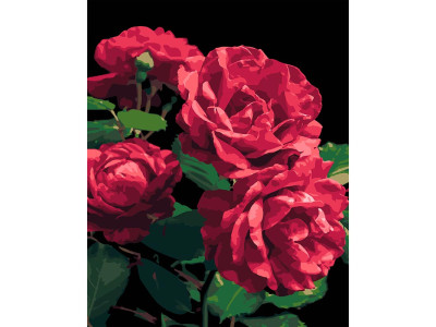 Картина за номерами Stateg Троянди на чорному фоні 40х50 см AH1187-18