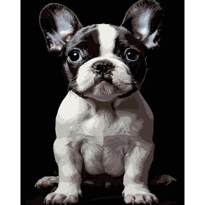 Картина за номерами Strateg Маленький пес на чорному фоні 40Х50 см AH1277
