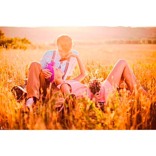 Картина за номерами "Польова романтика" ТМ Крамниця Чудес 40 x 50 см LC10044