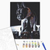 Картина за номерами "Соромязливий фотограф" 40*50 см 11642-AC