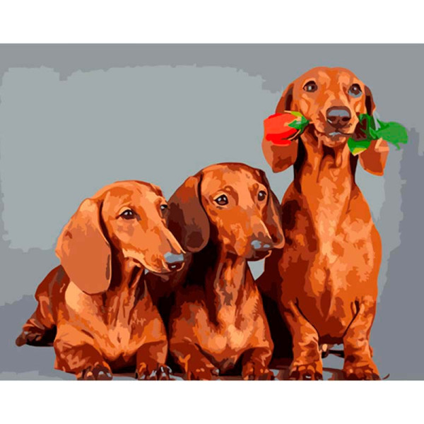 Картина по номерах Трійка такс Strateg 40х50 см GS924