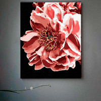 Картина за номерами Ніжна квітка Strateg на чорному фоні 40х50 см AH1039 Картина за номерами Ніжна квітка Strateg на чорному фоні 40х50 см AH1039