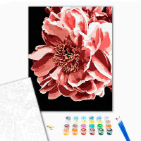 Картина за номерами Ніжна квітка Strateg на чорному фоні 40х50 см AH1039 Картина за номерами Ніжна квітка Strateg на чорному фоні 40х50 см AH1039