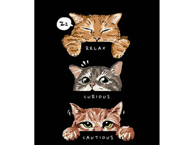 Картина за номерами Трійка котів Strateg на чорному фоні 30х40 см FH-16