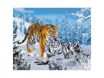 Картина за номерами Два тигри 40*50 КН194