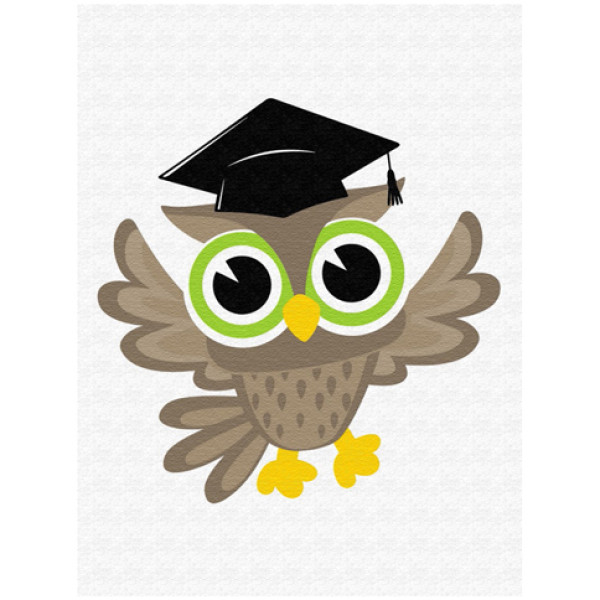 Картина за номерами "Мудра сова" MEX6355 Картина за номерами "Мудра сова" MEX6355