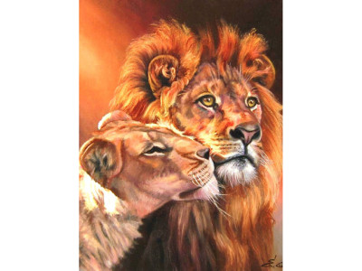 Картина за номерами "Левова любов" GX7279