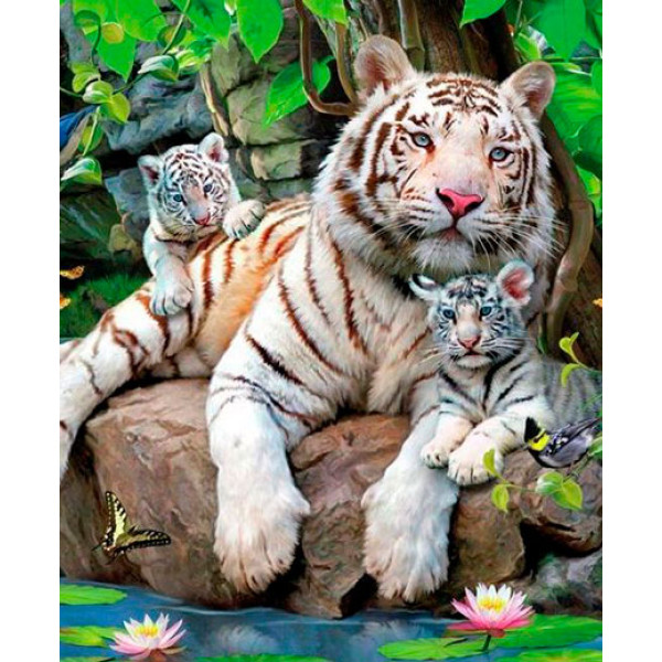 Картина за номерами "Білі тигри" тм Лавка Чудес 40 x 50 см у коробці LC20002