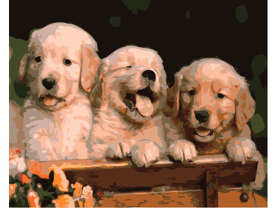 Картина за номерами "Собаче тріо" тм Лавка Чудес 40 x 50 см у коробці LC20128