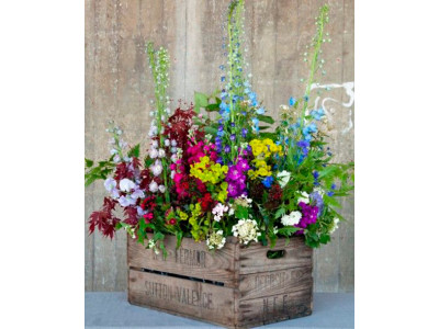 Картина за номерами "Букет у кашпо" LC40059 Картина за номерами "Букет у кашпо" LC40059