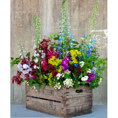 Картина за номерами "Букет у кашпо" LC40059 Картина за номерами "Букет у кашпо" LC40059