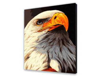 Картина за номерами "Орел" 40*50 см 11678-AC