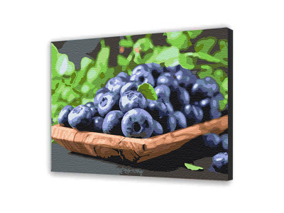 Картина за номерами "Соковита Елізабет" 40х50 см 12006-AC