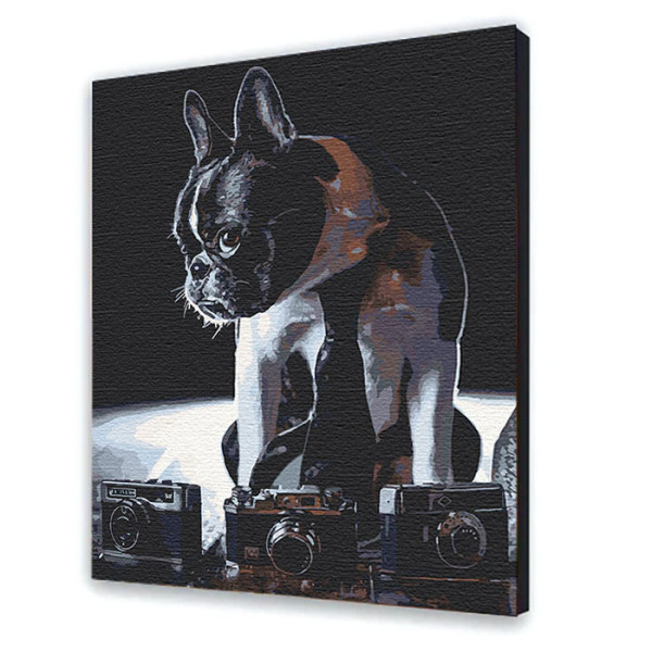 Картина за номерами "Соромязливий фотограф" 40*50 см 11642-AC