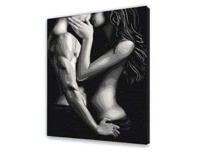 Картина за номерами Близькість тіл 10370-NN