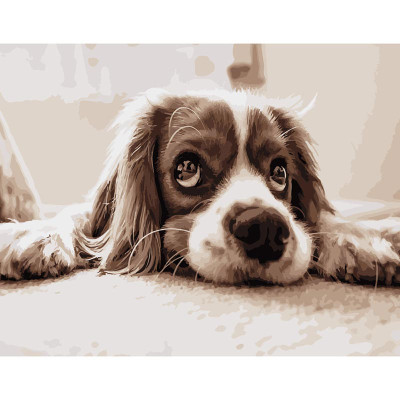 Картина за номерами Stateg Мрійливий спаніель 40х50 см DY086