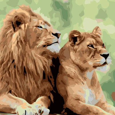 Картина за номерами "Сім'я левів", у термопакеті 40х40см SK003