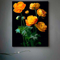 Картина за номерами Жовті квітки Strateg на чорному фоні 40х50 см AH1003