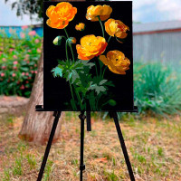 Картина за номерами Жовті квітки Strateg на чорному фоні 40х50 см AH1003