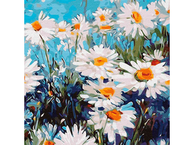 Картина за номерами "Ромашкове поле" КНО3101
