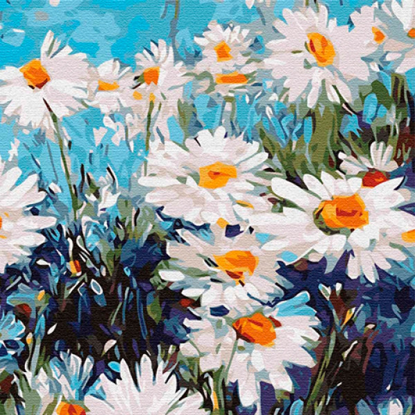 Картина за номерами "Ромашкове поле" КНО3101