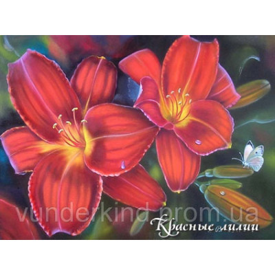 Картина за номерами "Червоні лілії" VD 005