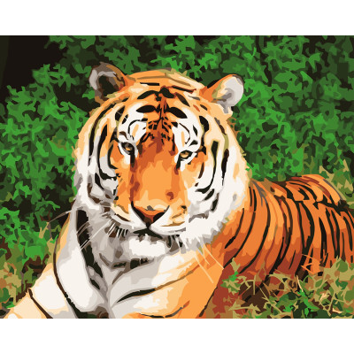 Картина за номерами "Тигр" тм Лавка Чудес 40 x 50 см у коробці LC20105 Картина за номерами "Тигр" тм Лавка Чудес 40 x 50 см у коробці LC20105