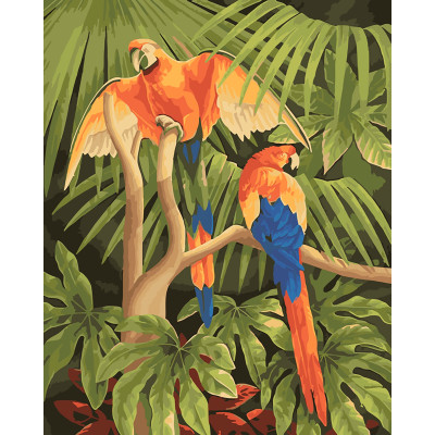 Картина за номерами "Папуги" тм Крамниця Чудес 40 x 50 см у коробці LC20110