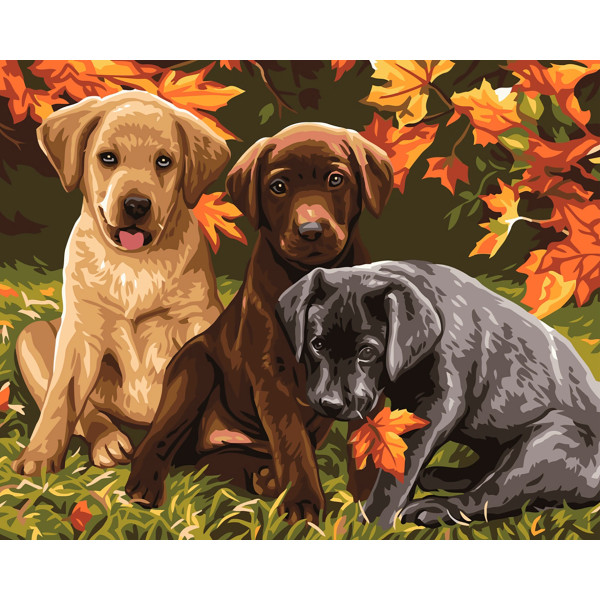 Картина за номерами "Собаче тріо" тм Лавка Чудес 40 x 50 см у коробці LC20133