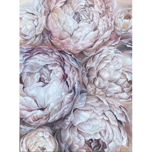 Картина за номерами "Ніжні півонії" LC40010