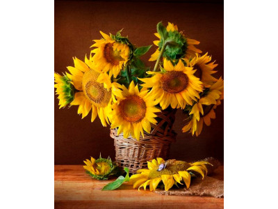 Картина за номерами "Соняшники в кошику" LC40087