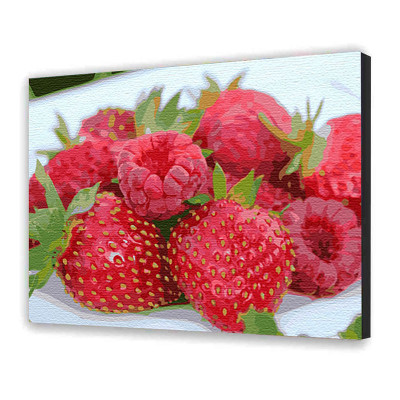 Картина за номерами "Соковитий феєрверк" 40х50 см 12004-AC