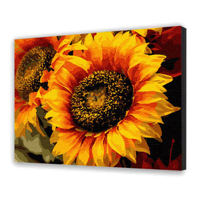 Картина за номерами з лаком ArtCraft квіти "Шпигун сонця" 40х50 см 13106-AC