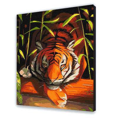 Картина за номерами "Бенгальський тигр" 40*50 см 11618-AC