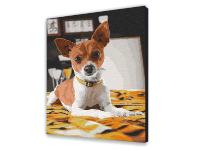 Картина за номерами "Чихуахуа" 40*50 см 11633-AC