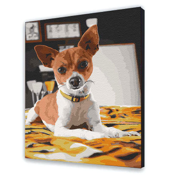 Картина за номерами "Чихуахуа" 40*50 см 11633-AC Картина за номерами "Чихуахуа" 40*50 см 11633-AC