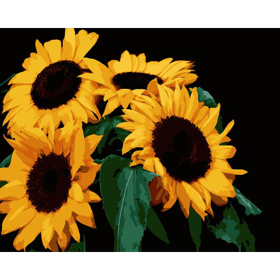 Картина за номерами Stateg Яскраві соняхи на чорному фоні 40х50 см AH1185-13