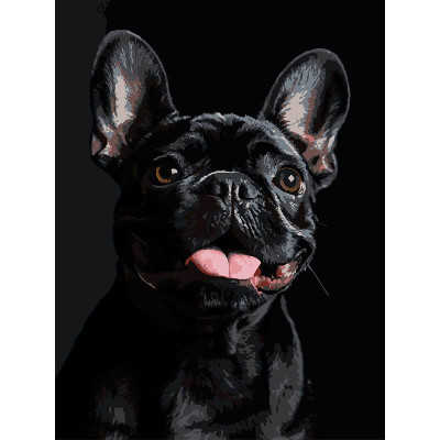 Картина за номерами Strateg Французький чорний бульдог на чорному фоні 30Х4 FH-32
