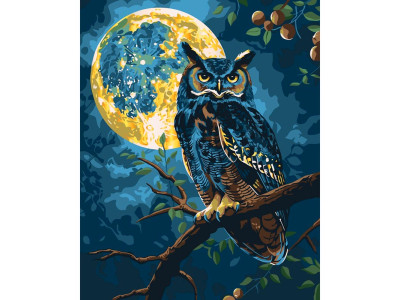 Картина за номерами Art Craft "Хранитель зоряного світла" з м. фарбами 40x50 см 11722-AC