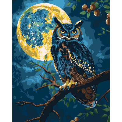 Картина за номерами Art Craft "Хранитель зоряного світла" з м. фарбами 40x50 см 11722-AC