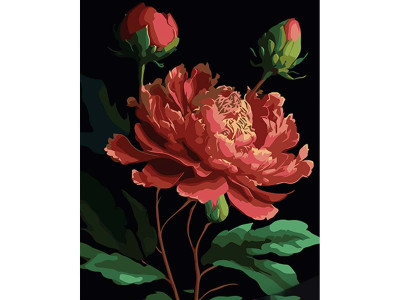 Картина за номерами Півонії Strateg на чорному фоні 40х50 см AH1048