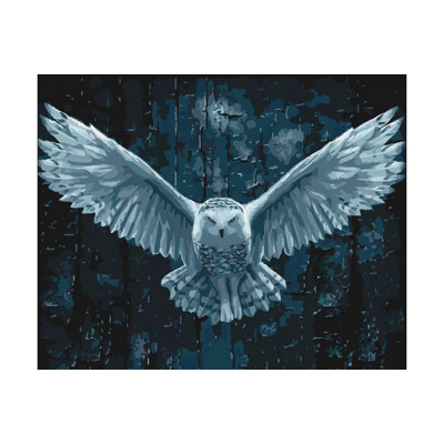 Картина за номерами "Нічна варта" 40*50 см КНО4114 Картина за номерами "Нічна варта" 40*50 см КНО4114