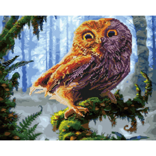 Картина за номерами та алмазна мозаїка 2 в 1. Rainbow Art "Совушка" GZS1097