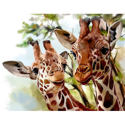Картина за номерами "Пара жирафів" тм Лавка Чудес 40 x 50 см у коробці LC20008 Картина за номерами "Пара жирафів" тм Лавка Чудес 40 x 50 см у коробці LC20008