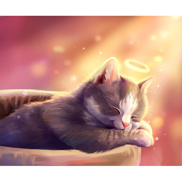 Картина за номерами "Спляче кошеня" тм Лавка Чудес 40 x 50 см у коробці LC20019 Картина за номерами "Спляче кошеня" тм Лавка Чудес 40 x 50 см у коробці LC20019