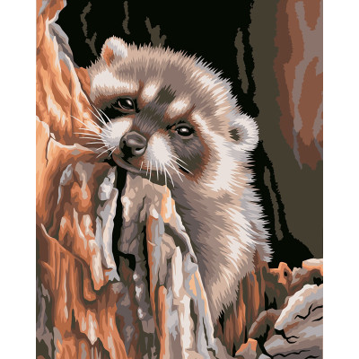 Картина за номерами "Єнот" тм Лавка Чудес 40 x 50 см у коробці LC20115