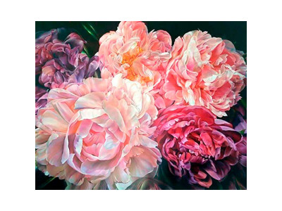 Картина за номерами "Півонії" LC40090