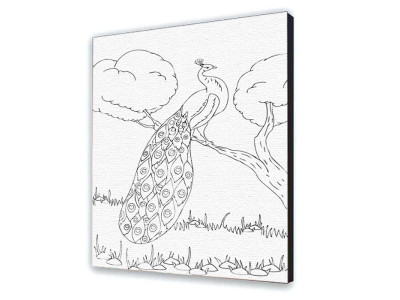 Картина за номерами "Павич" 25х30 см 15509-AC